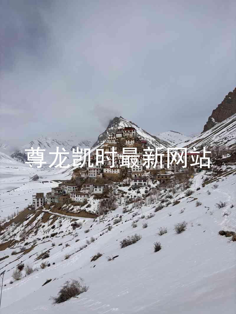 尊龙凯时最新网站