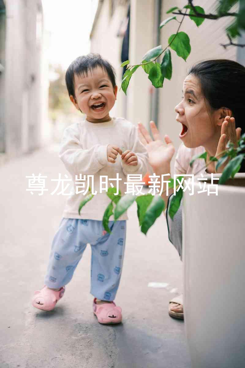 尊龙凯时最新网站